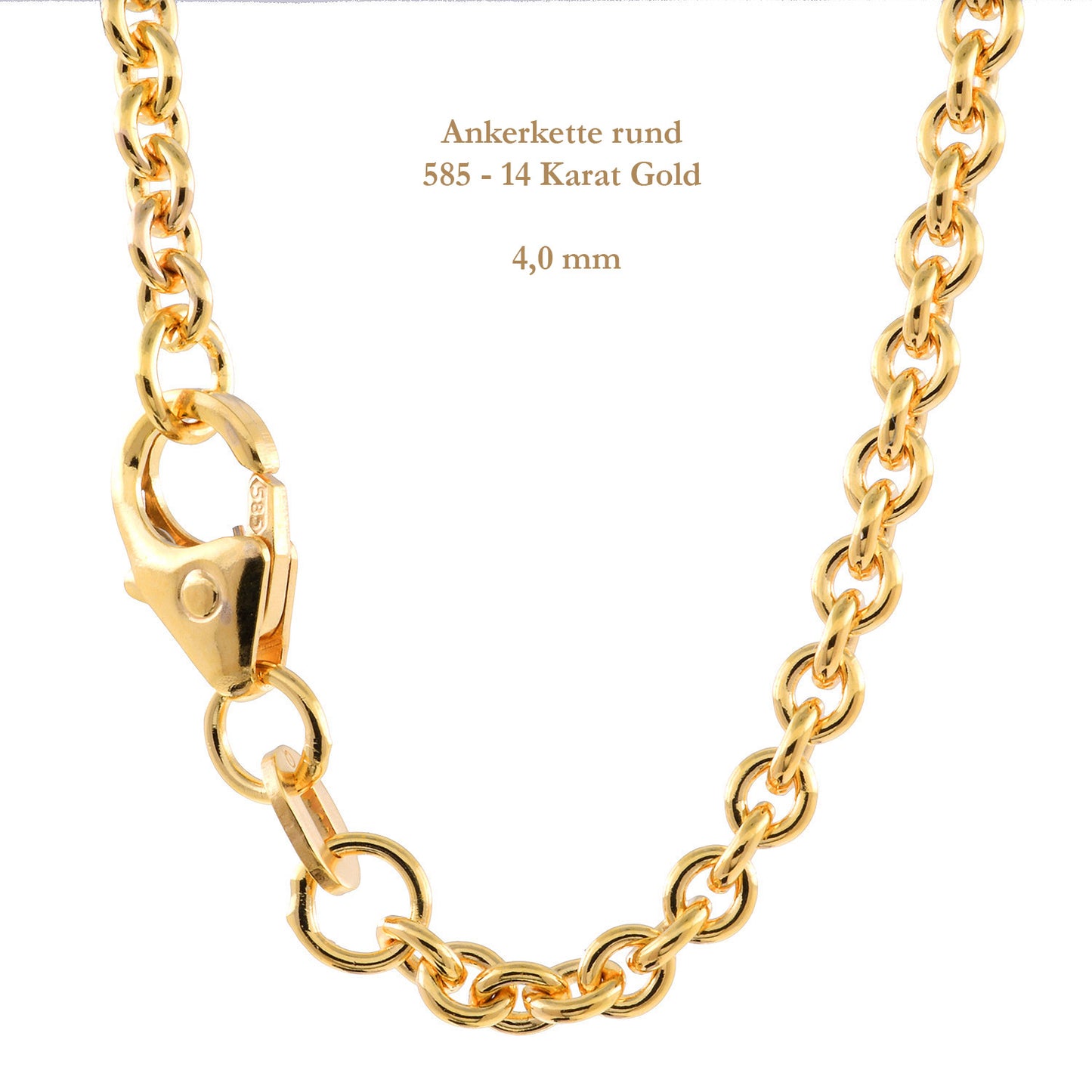 Ankerkette rund Halskette 585 - 14 Karat Gold Auswahl