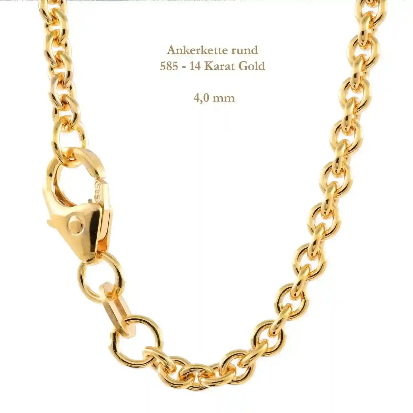 Ankerkette rund Halskette 585 - 14 Karat Gold Auswahl