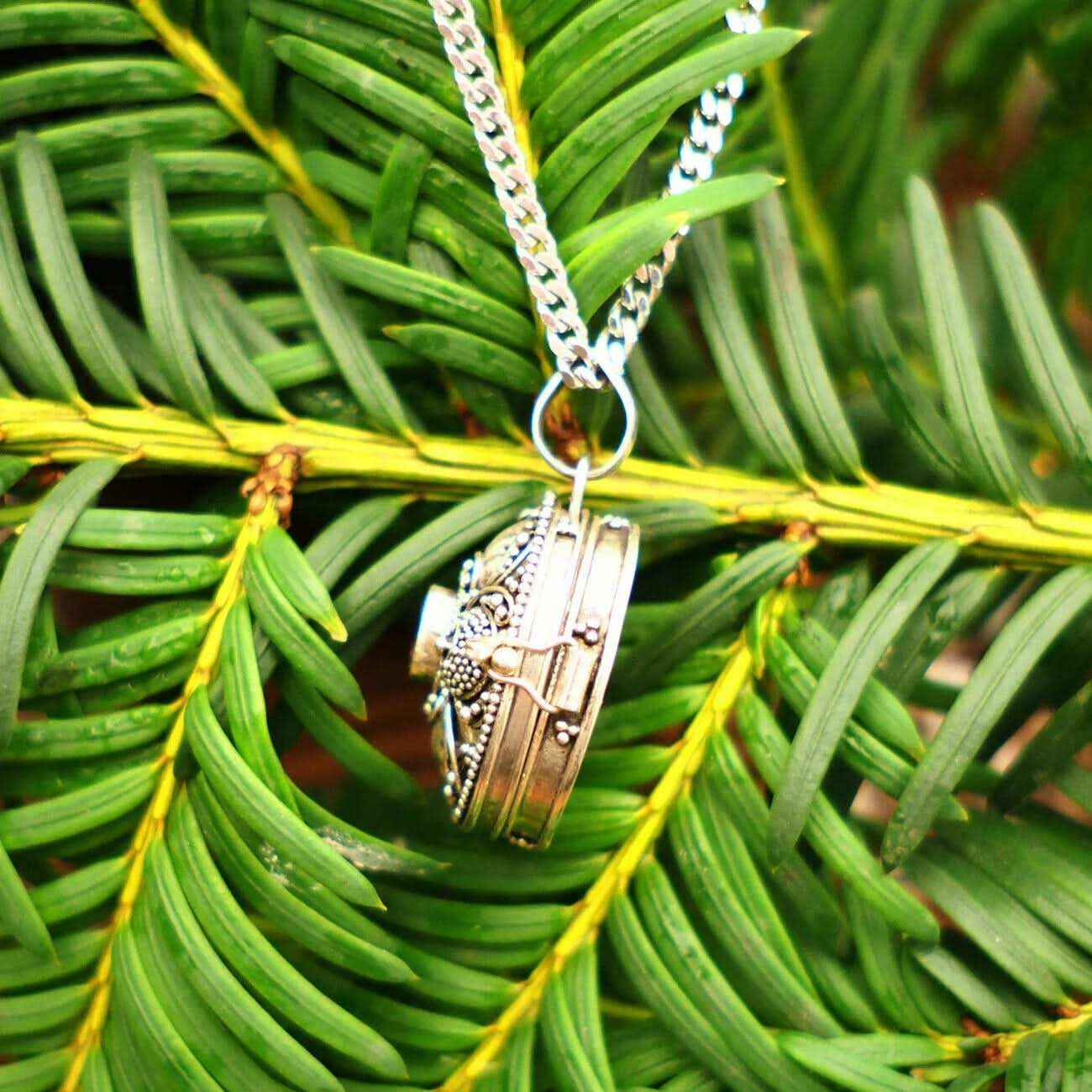 Medaillon mit Granatstein und Silberkette Schmuck Anhänger 925er Silber Set 45cm+1,6mm