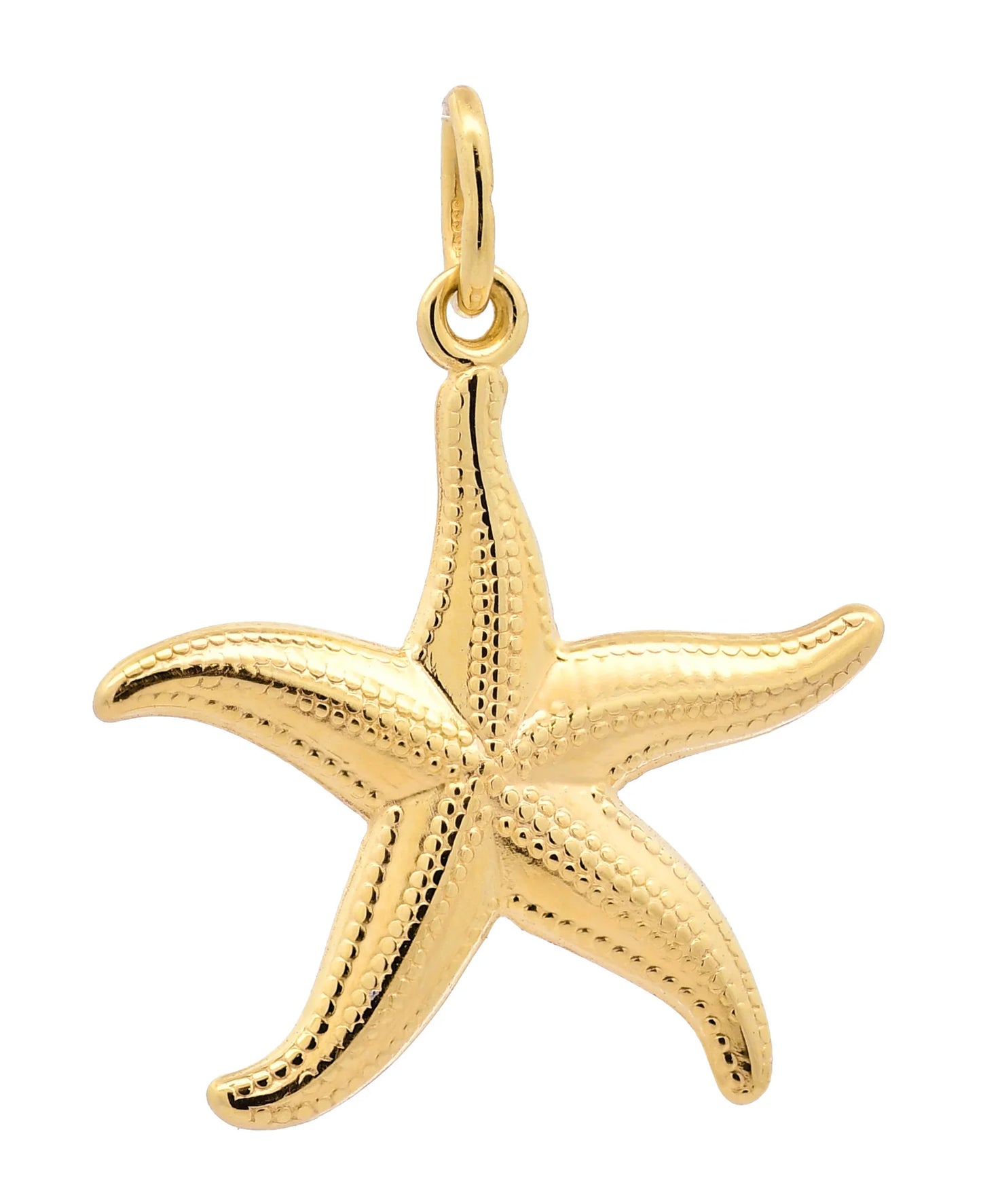 Gold Anhänger Seestern  mit Goldkette massiv 333 - 8 Karat Gold