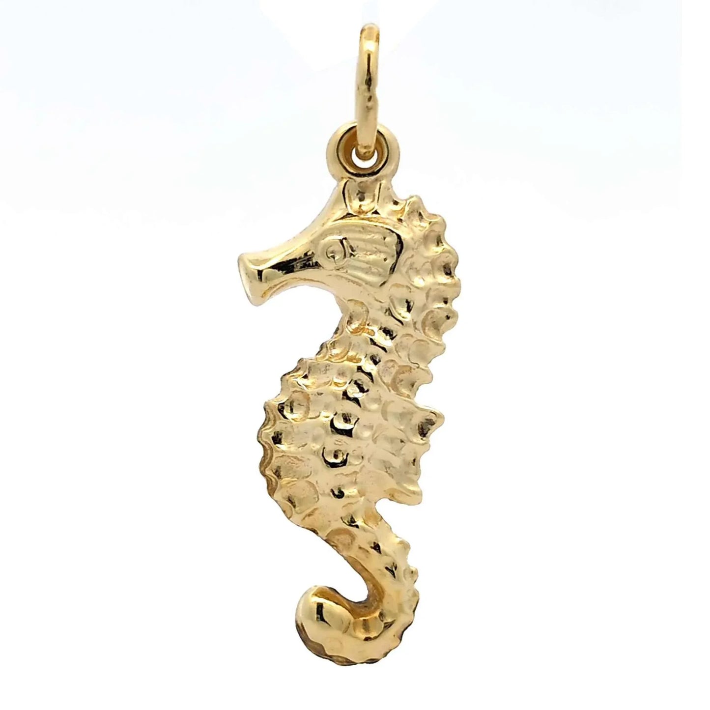 Gold Anhänger Seepferdchen  mit Goldkette massiv 333 - 8 Karat Gold