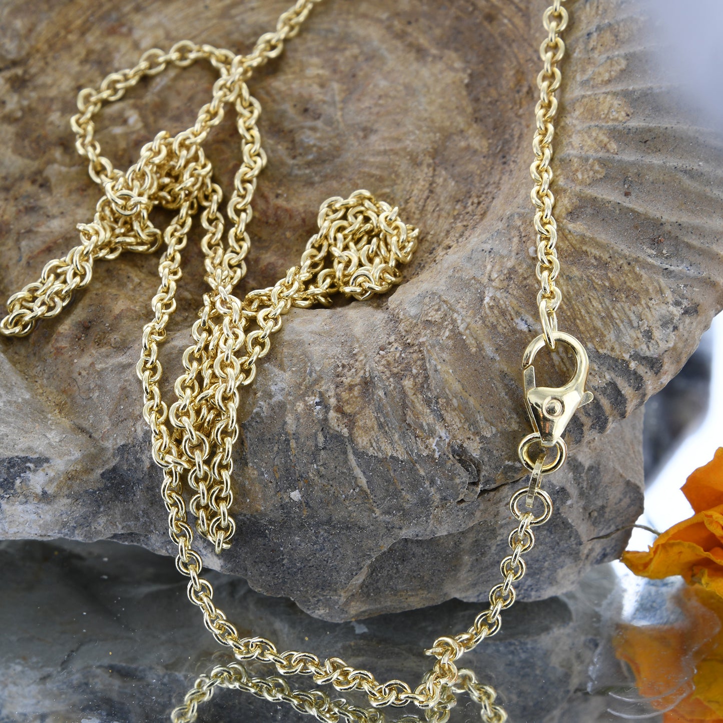 Ankerkette rund Halskette  585 - 14 Karat Gold Auswahl