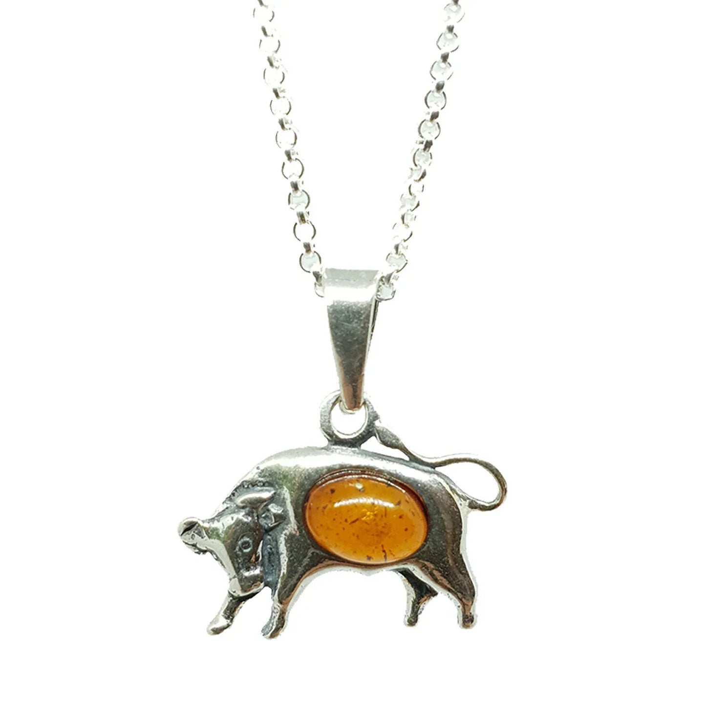 Sternzeichen Anhänger mit Ankerkette 925er Silber Bernstein Schmuck