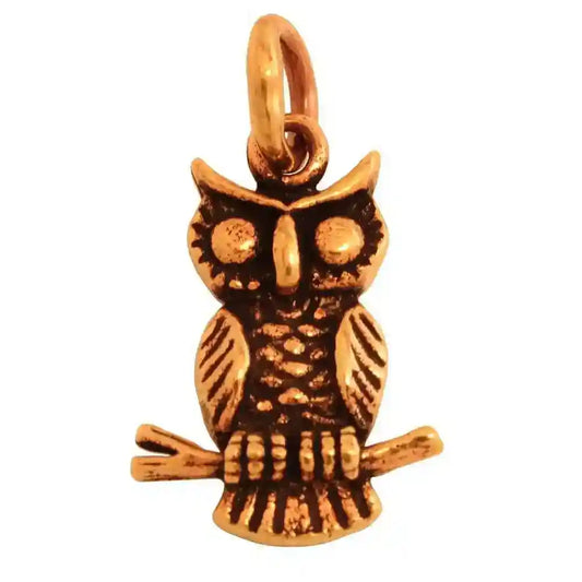Bronzeanhänger Eule Uhu klein Schmuck - Sonstige Tiere - 23x13mm