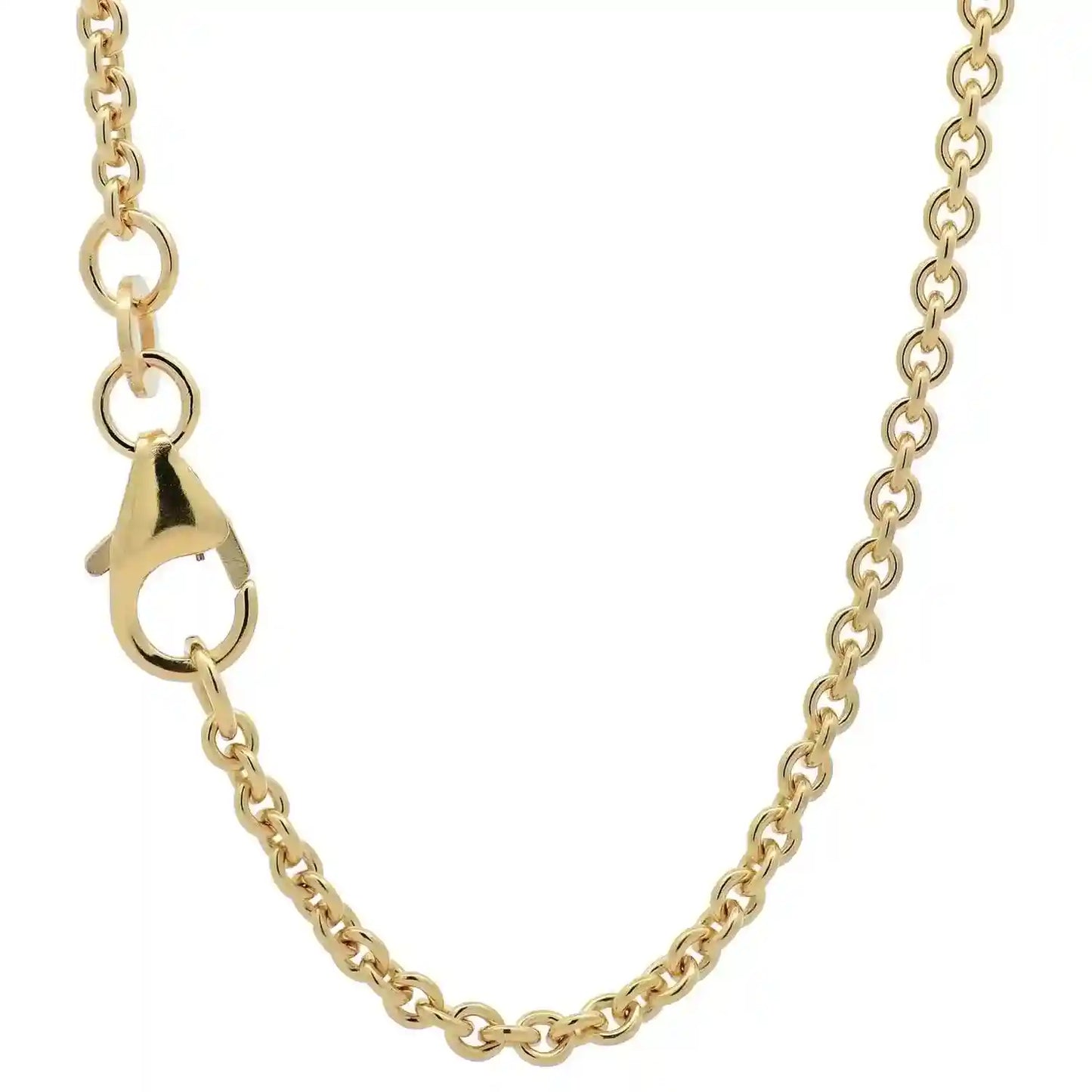 Goldkette Ankerkette Breite 2,0mm - 333-8 Karat Gold - Firma Holzenplotz - Silberketten-Goldketten.de 