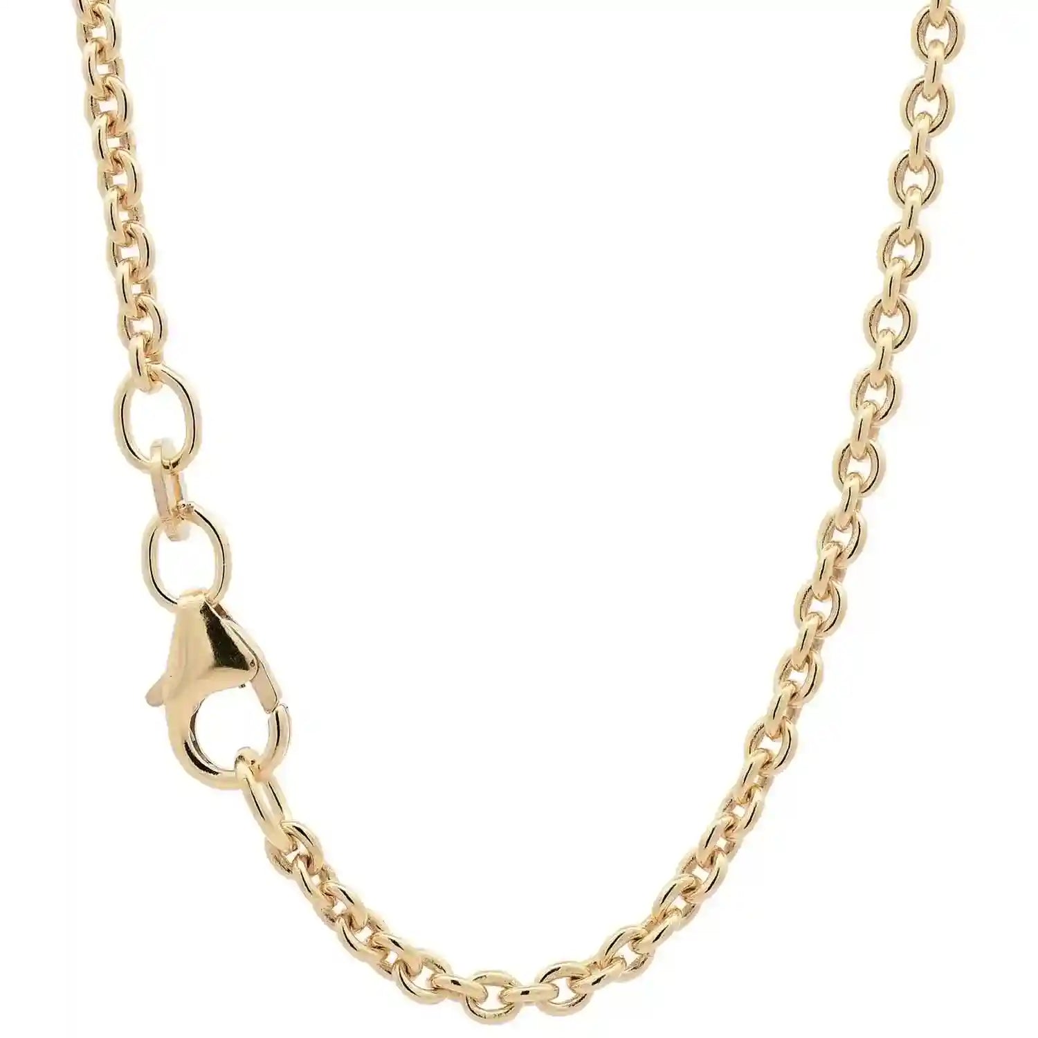Goldkette Ankerkette Breite 2,4mm - 585-14 Karat Gold - Firma Holzenplotz - Silberketten-Goldketten.de 