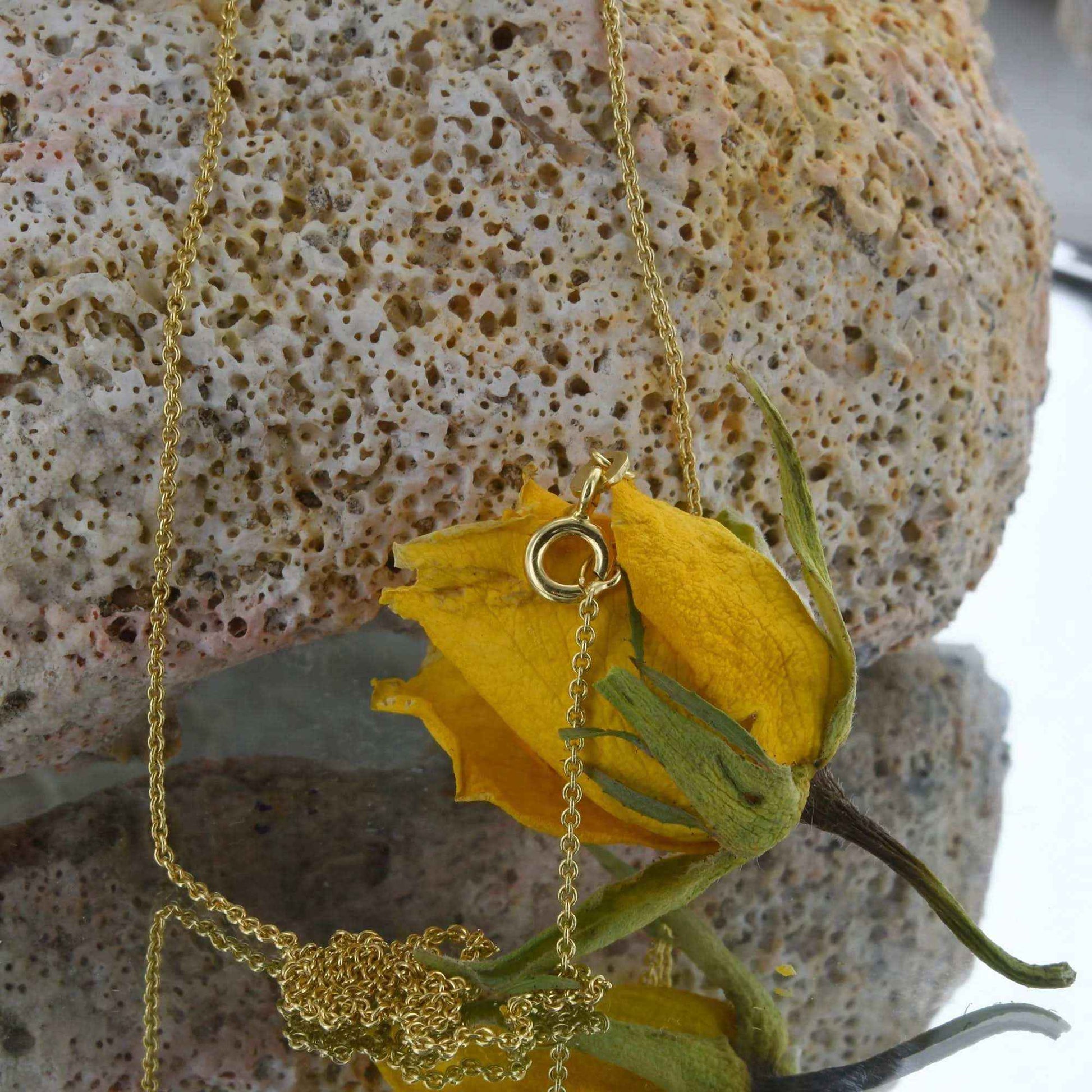 Goldkette Ankerkette rund Halskette massiv 333 - 8 Karat Gold Auswahl - Firma Holzenplotz - Silberketten-Goldketten.de 