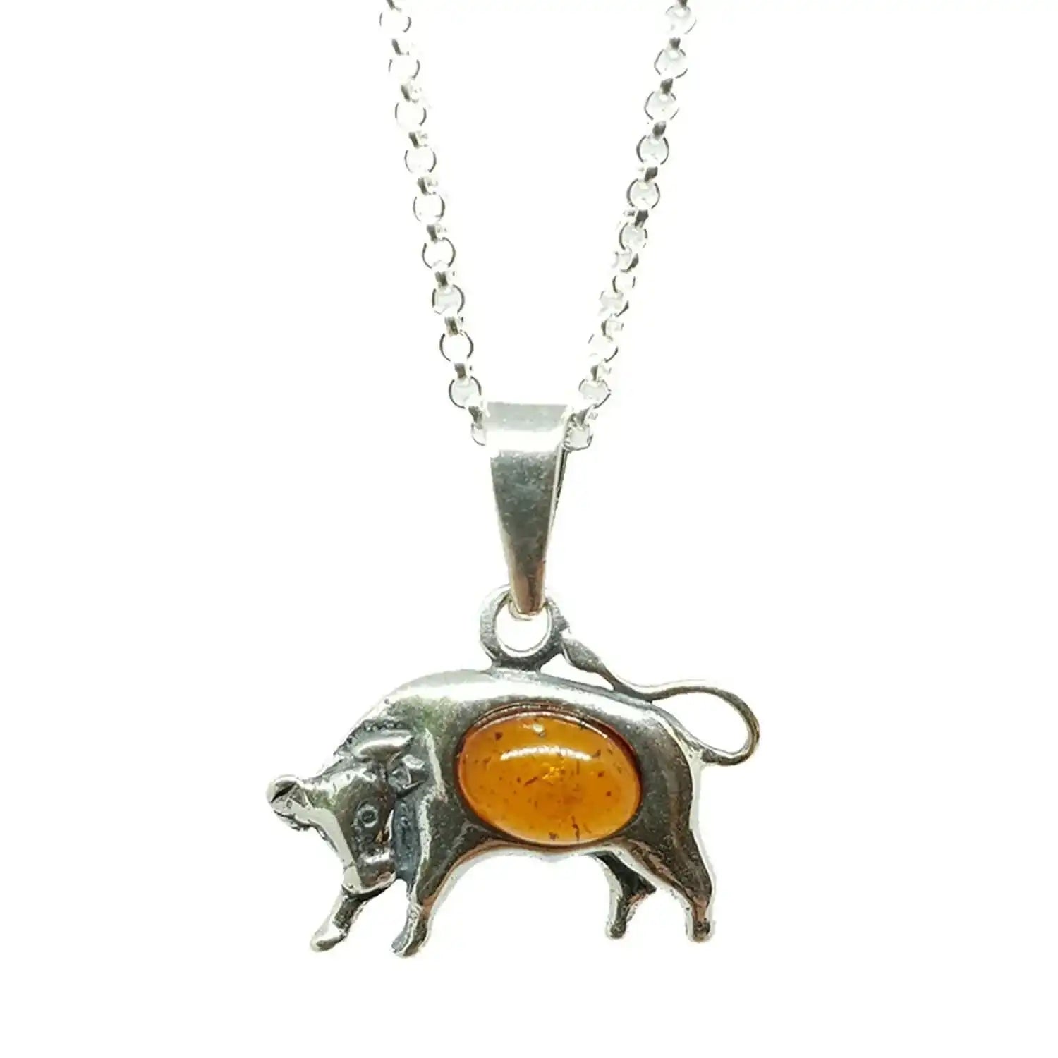 Sternzeichen Anhänger mit Ankerkette 925er Silber Bernstein Schmuck - Firma Holzenplotz - Silberketten - Goldketten.de