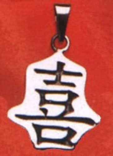 Xi - Reichtum Zeichen Schmuck Anhänger 925er Silber - Firma Holzenplotz - Silberketten - Goldketten.de