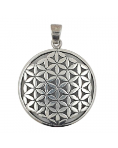 29.95 Blume des Lebens Anhänger 925 Silber Flower of Life mittel Silber 902-AHSS-001 SIGO2023