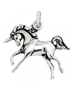 18.95 Einhorn Schmuck Anhänger 925er Silber - Einhorn - 27x27mm 900-AM40 Einhorn Anhänger aus Silber