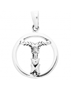 21.95 Irminsul Schmuck Anhänger 925er Silber Durchmesser 21mm 900-AV34-Irminsul SIGO2023