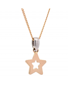 301.95 Halskette Anhänger Sternchen mit 1,1 mm Goldkette 585-14 Karat Gold 998.626.00380.1.KS-SET Anhänger 585 - 14 Karat Gold