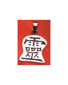 19.95 Ling-Geist Zeichen Schmuck Anhänger 925er Silber 924-P307-L SIGO2023