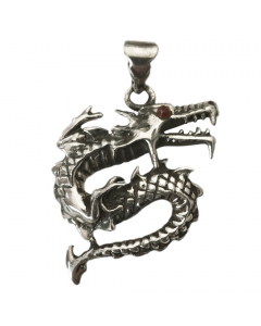 22.95 Drache Silberanhänger Anhänger Schmuck 925er Sterlingsilber 37 x 31 mm 933-FP11 SIGO2023