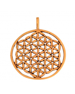 16.95 Blume des Lebens Anhänger Bronze Schmuck Kraft Energie Licht Liebe 922-WB-073 Blume des Lebens Anhänger