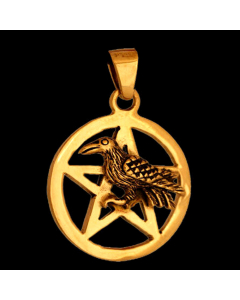Bronzeanhänger Rabe im Pentagramm - Vögel - 36x25mm