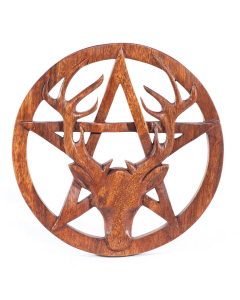 Wandschmuck Hirsch Kopf und Pentagramm aus Holz geschnitztes Ornament Holzbild