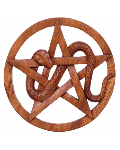 Schlange mit Pentagramm aus Holz Wandschmuck Wandbild Handarbeit Schutz und Heil