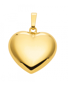 Anhänger Herz Kettenanhänger aus massiv 333 - 8 kt Gelbgold  mit massiver Goldkette
