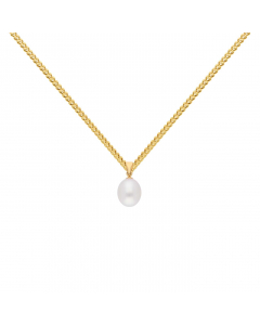 Anhänger mit Süßwasserperle (Zuchtperle) 585 14 Karat Gold mit massiver Goldkette 1,1 mm 585-14 Karat Gold Juwelier Qualität