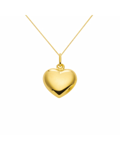 Anhänger Herz Kettenanhänger aus massiv 333 - 8 kt Gelbgold  mit massiver Goldkette