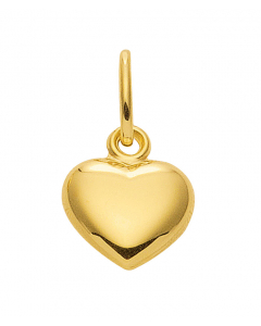 Anhänger Herz Kettenanhänger aus massiv 333 - 8 kt Gelbgold  mit massiver Goldkette