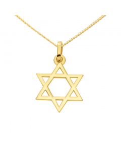 Anhänger Davidstern aus massiv 585 - 14 kt Gelbgold  wahlweise mit massiver Goldkette 1,1 mm 333 - 8 Karat Gelbgold - Länge nach Wahl
