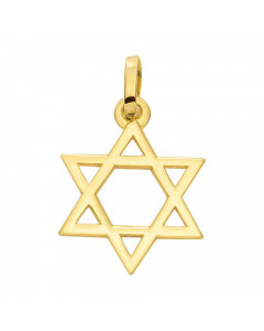 Anhänger Davidstern 585 14 Karat Gold mit massiver Goldkette 1,1 mm 585-14 Karat Gold Juwelier Qualität