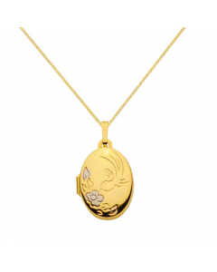 Anhänger Medaillon Oval mit massiver Goldkette 1,1 mm 333-8 Karat Gold Juwelier Qualität