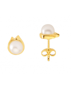 Ohrstecker  Süßwasserperle 333 Gelbgold