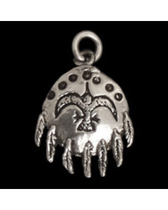 Medizin-Schild Schmuck Anhänger 925er Silber 20x13mm (inklusive Aufhängung)