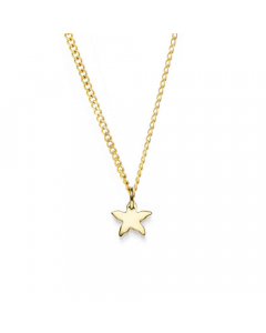 Anhänger Seestern 585 14 Karat Gold mit massiver Goldkette 1,1 mm 585-14 Karat Gold Juwelier Qualität