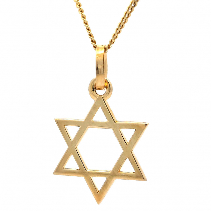 Anhänger Davidstern 585 Gold mit Goldkette 1,1 mm 585 Gold