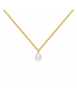211.95 Anhänger mit Süßwasserperle mit Kette 1,1 mm 585 Gold 904-AN183216-SET Goldketten